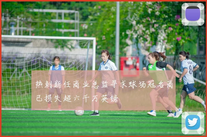 热刺新任商业总监寻求球场冠名商已损失超六千万英镑