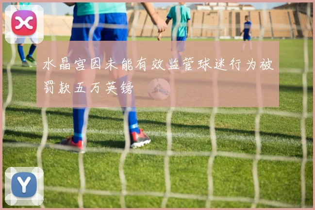 水晶宫因未能有效监管球迷行为被罚款五万英镑