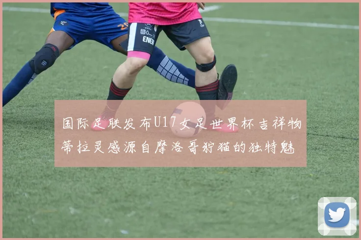 国际足联发布U17女足世界杯吉祥物蒂拉灵感源自摩洛哥狞猫的独特魅力