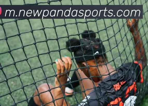 熊猫体育品牌故事