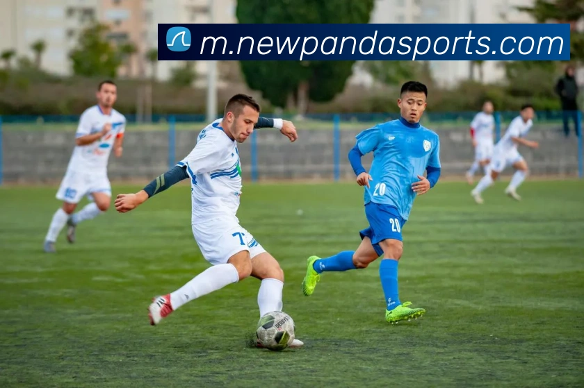 熊猫体育服务体系